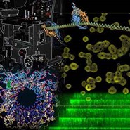 2024 Macromolecular Machines & Assemblies Subgroup