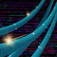 2023 Nanoscale Approaches to Biology Subgroup