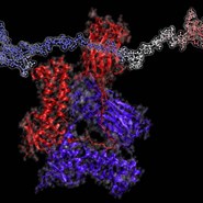 2024 Intrinsically Disordered Proteins DINNER ONLY