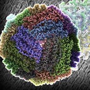 2024 Cryo-Em DINNER ONLY