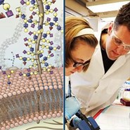 2024 Early Career Membership + 2024 Annual Meeting Registration (Early Career Member)
