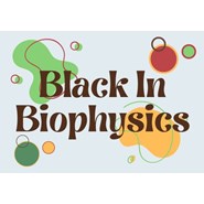 Black in Biophysics Research: Biophysics of Somatosensation and Pain