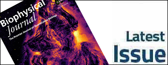 Biophysical Journal Latest Issue