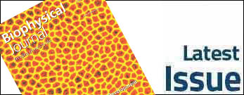 Biophysical Journal Latest Issue